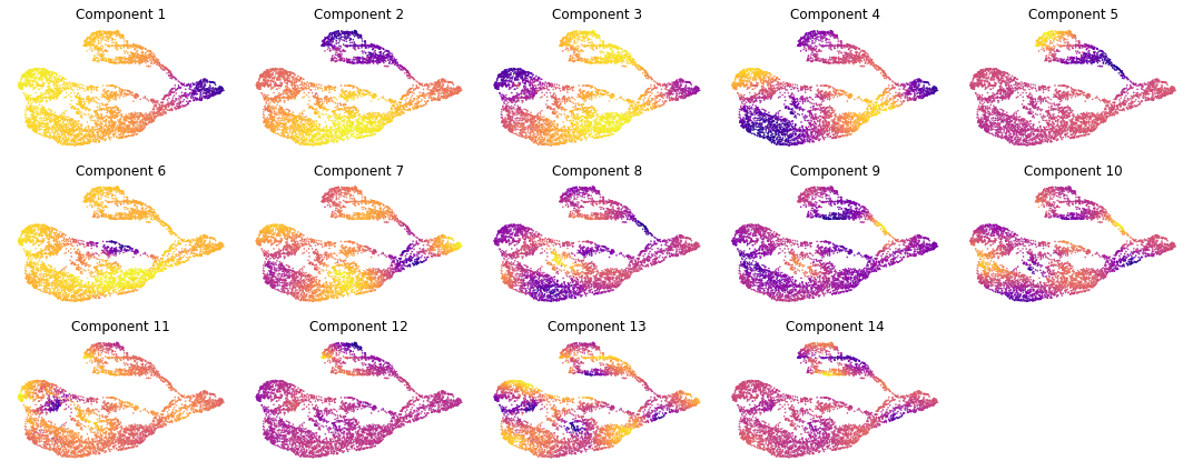 ../_images/notebooks_tutorial_mouse_brain_43_3.png