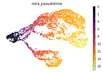 ../_images/notebooks_tutorial_mouse_brain_48_1.png