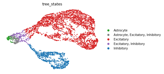 ../_images/notebooks_tutorial_mouse_brain_49_0.png