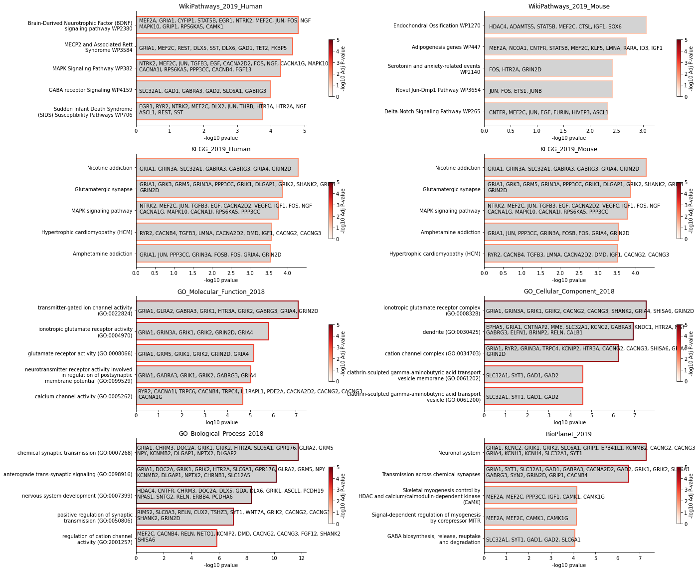 ../_images/notebooks_tutorial_mouse_brain_54_0.png