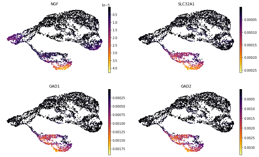../_images/notebooks_tutorial_mouse_brain_56_0.png