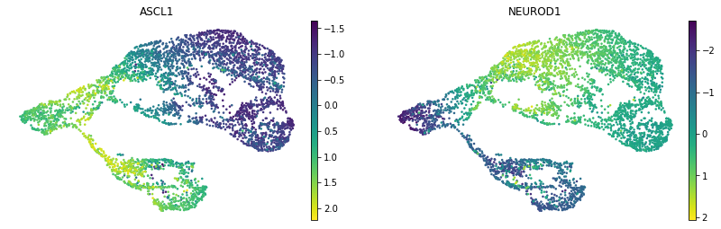 ../_images/notebooks_tutorial_mouse_brain_69_1.png