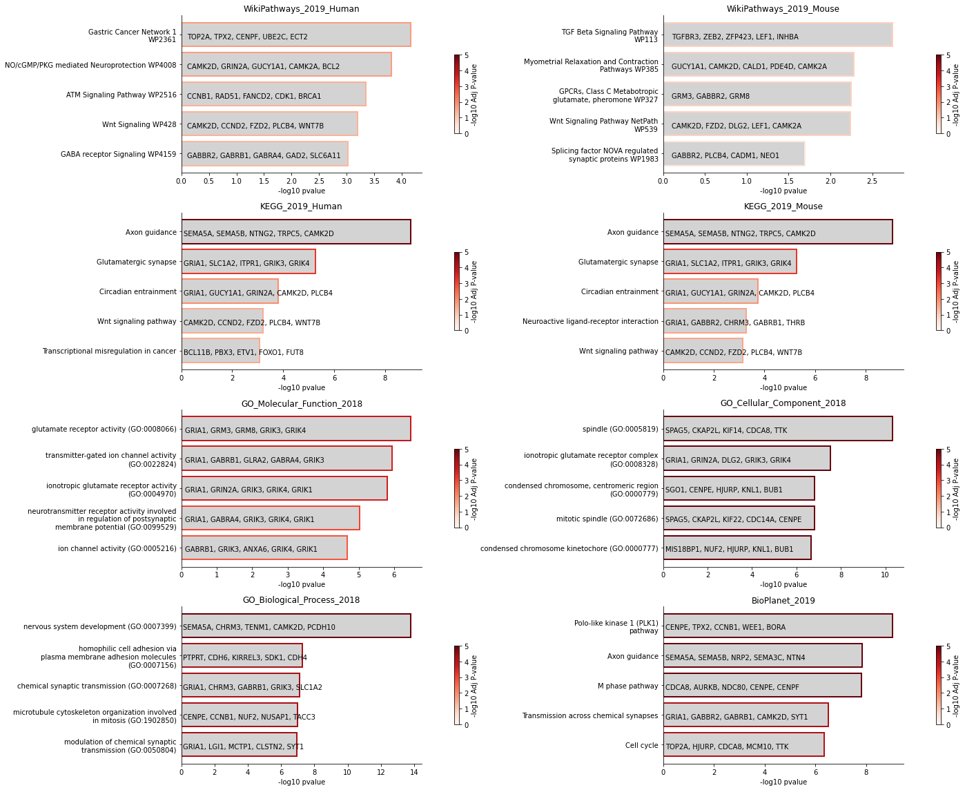 ../_images/notebooks_tutorial_mouse_brain_89_0.png