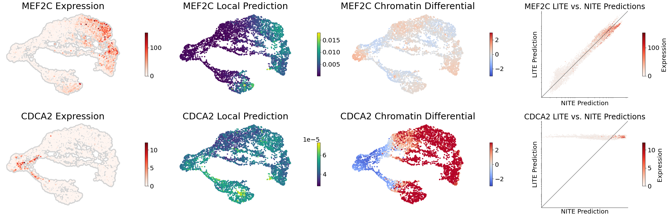 ../_images/notebooks_tutorial_mouse_brain_93_1.png