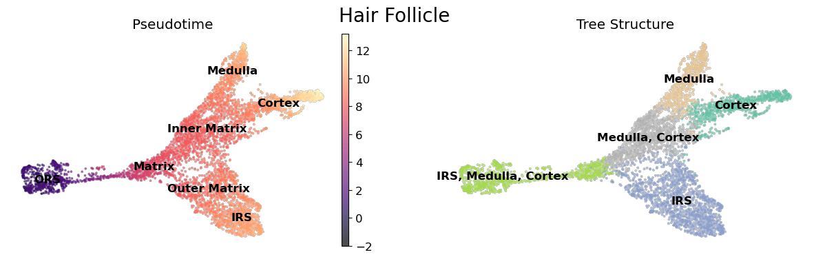 ../_images/notebooks_tutorial_streamgraphs_3_0.png
