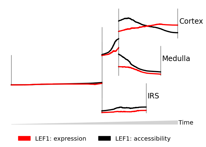 ../_images/notebooks_tutorial_streamgraphs_7_1.png